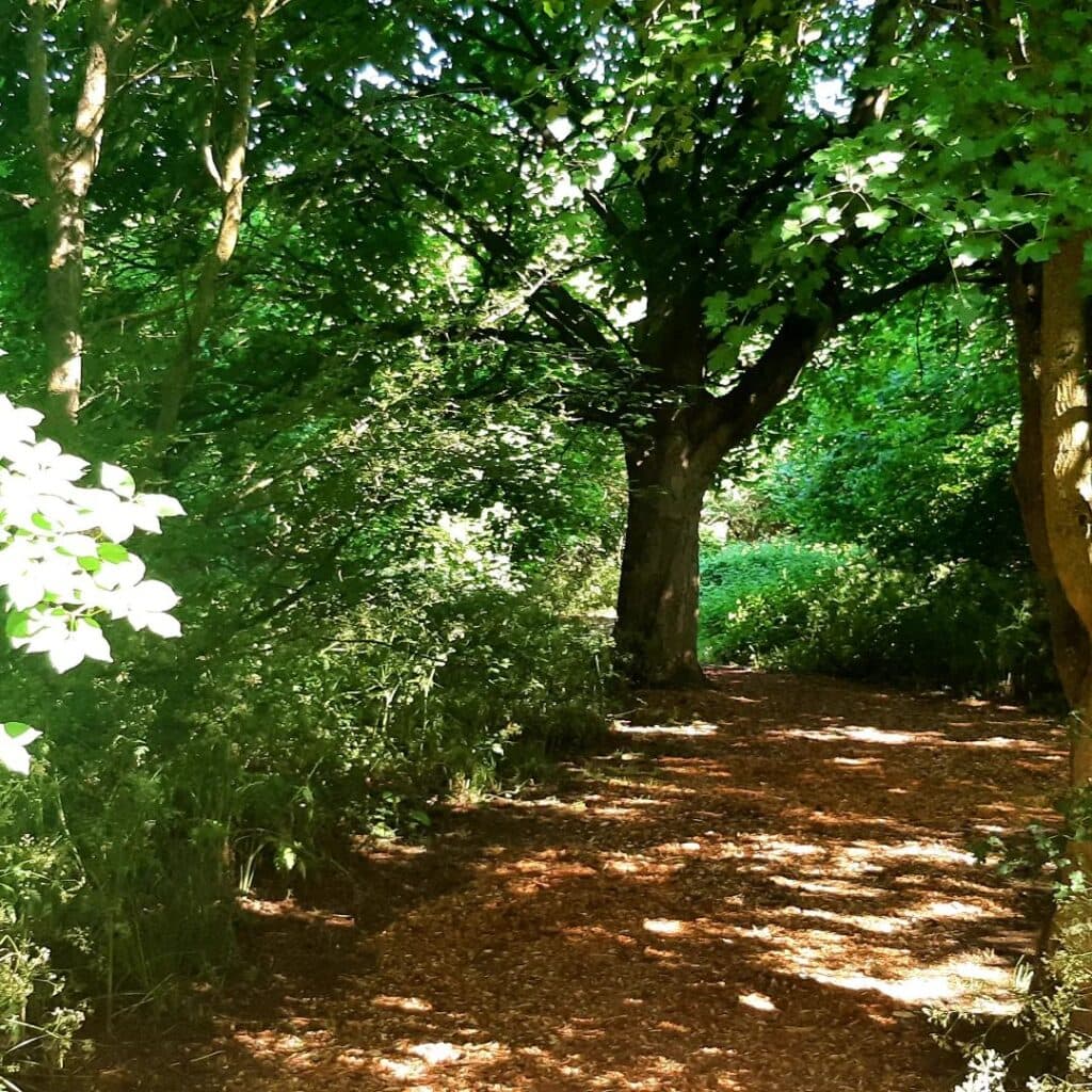Bradlaugh Fields & Barn - Image 2