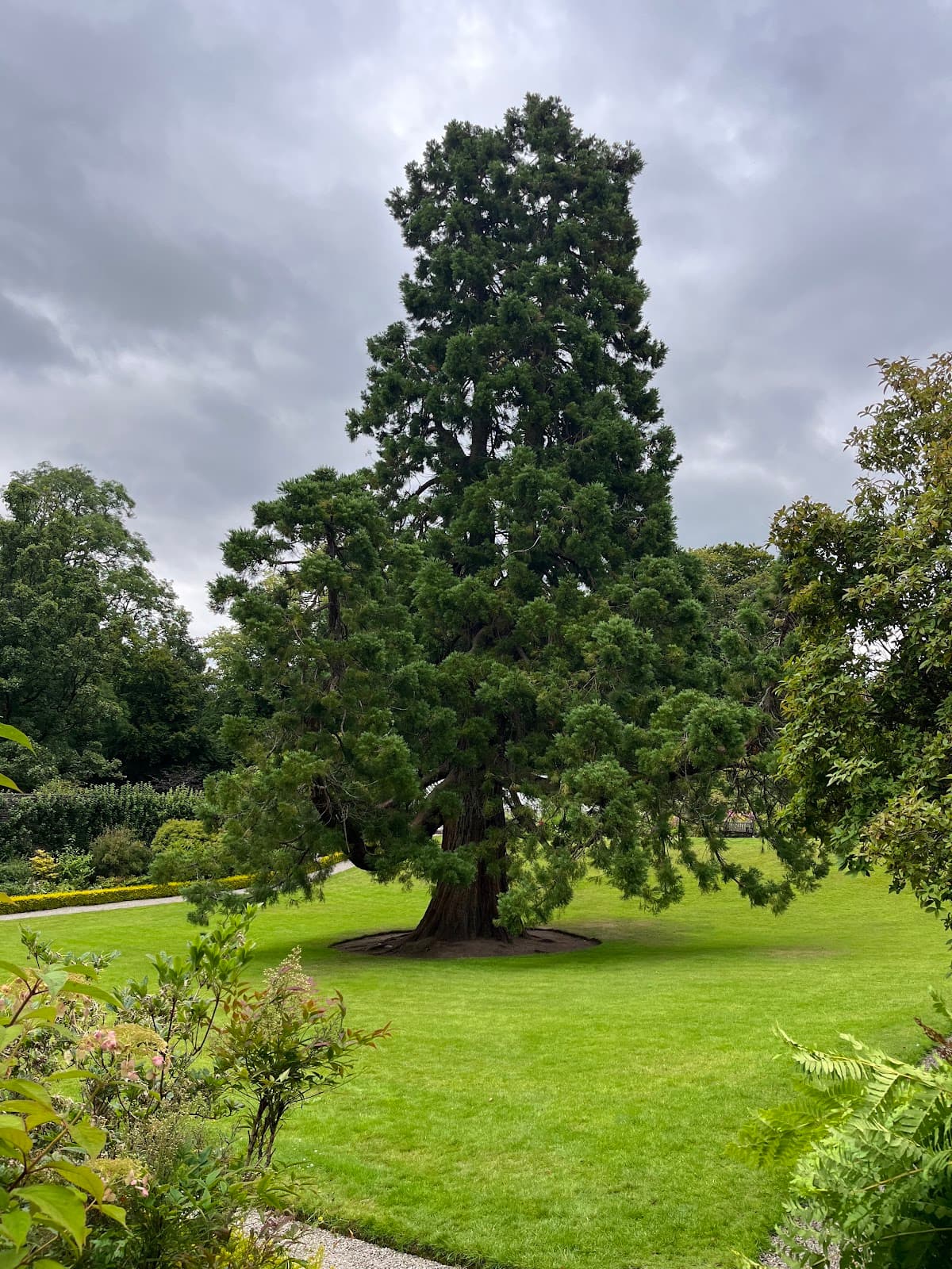 Geilston Garden (National Trust for Scotland) - Image 2