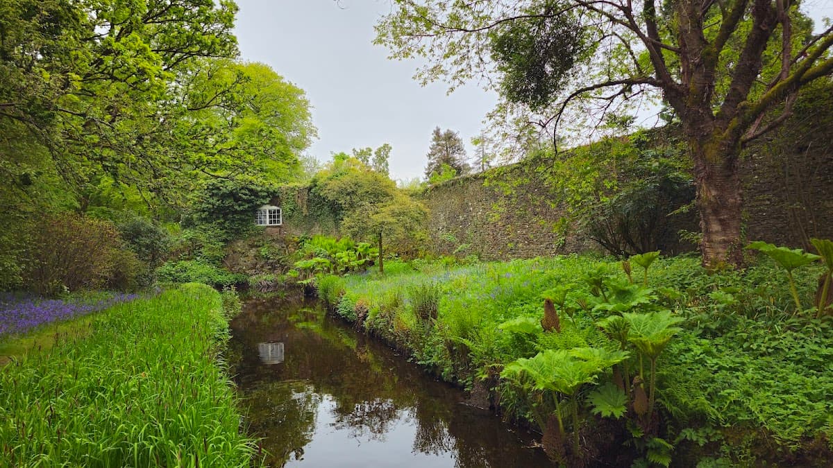 Geilston Garden (National Trust for Scotland) - Image 3