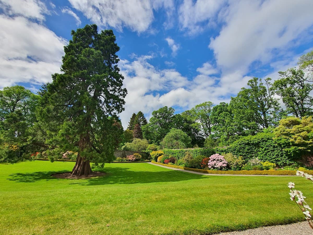 Geilston Garden (National Trust for Scotland) - Image 4