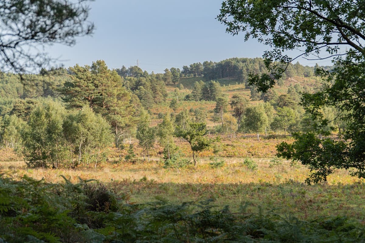 Barossa Nature Reserve - Main view