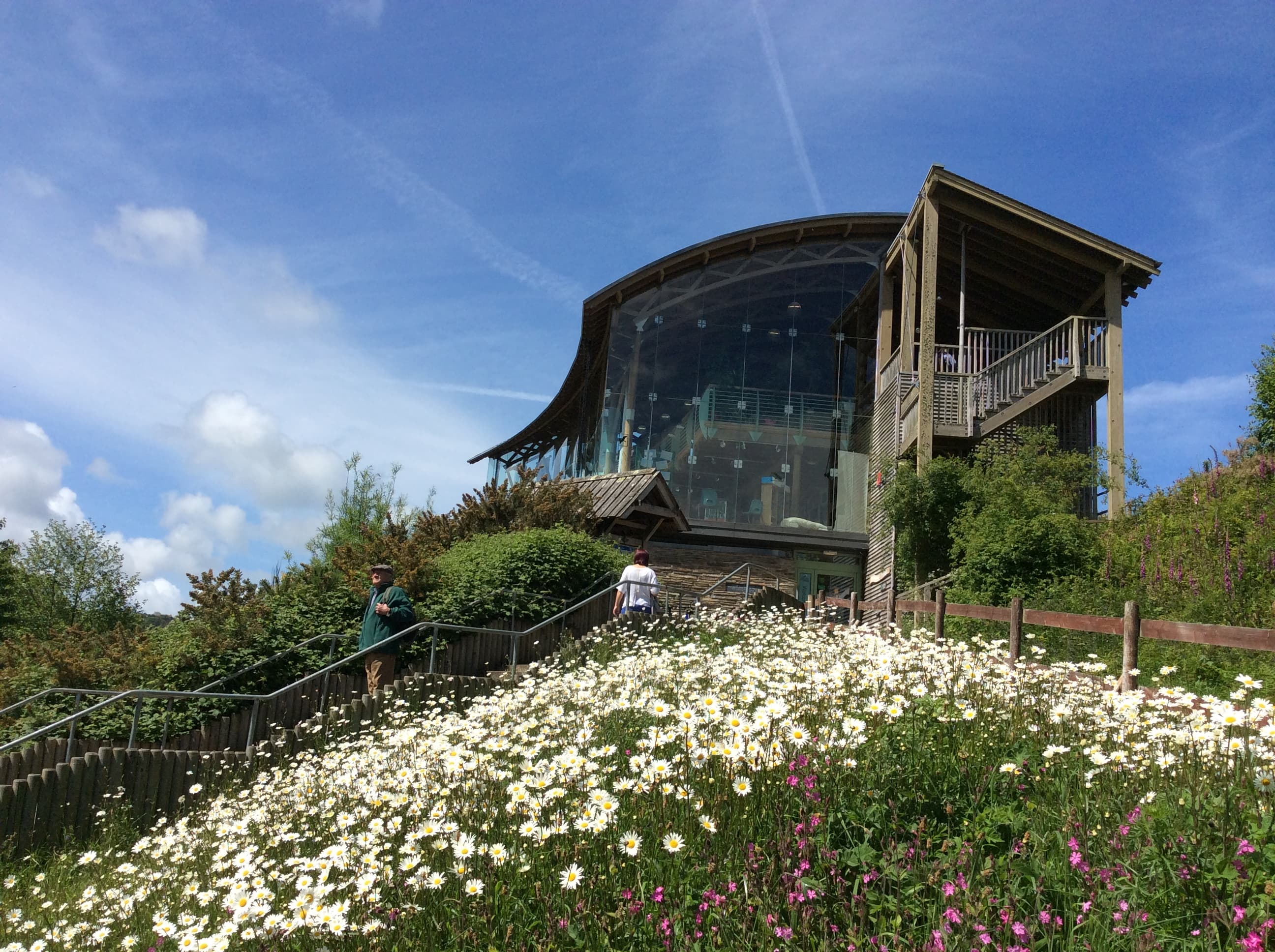 Welsh Wildlife Centre - Image 2