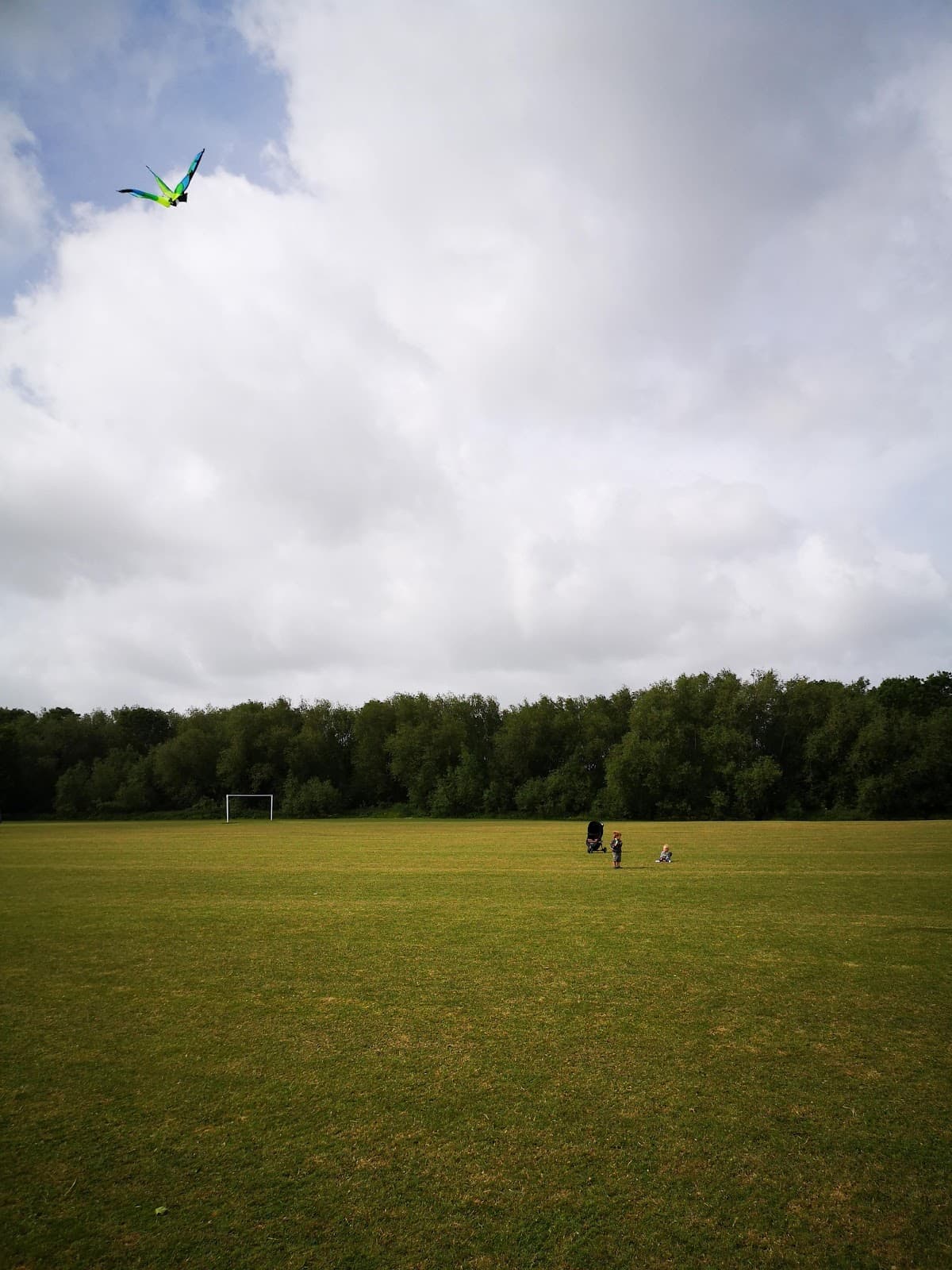 Burrow's Field - Image 2