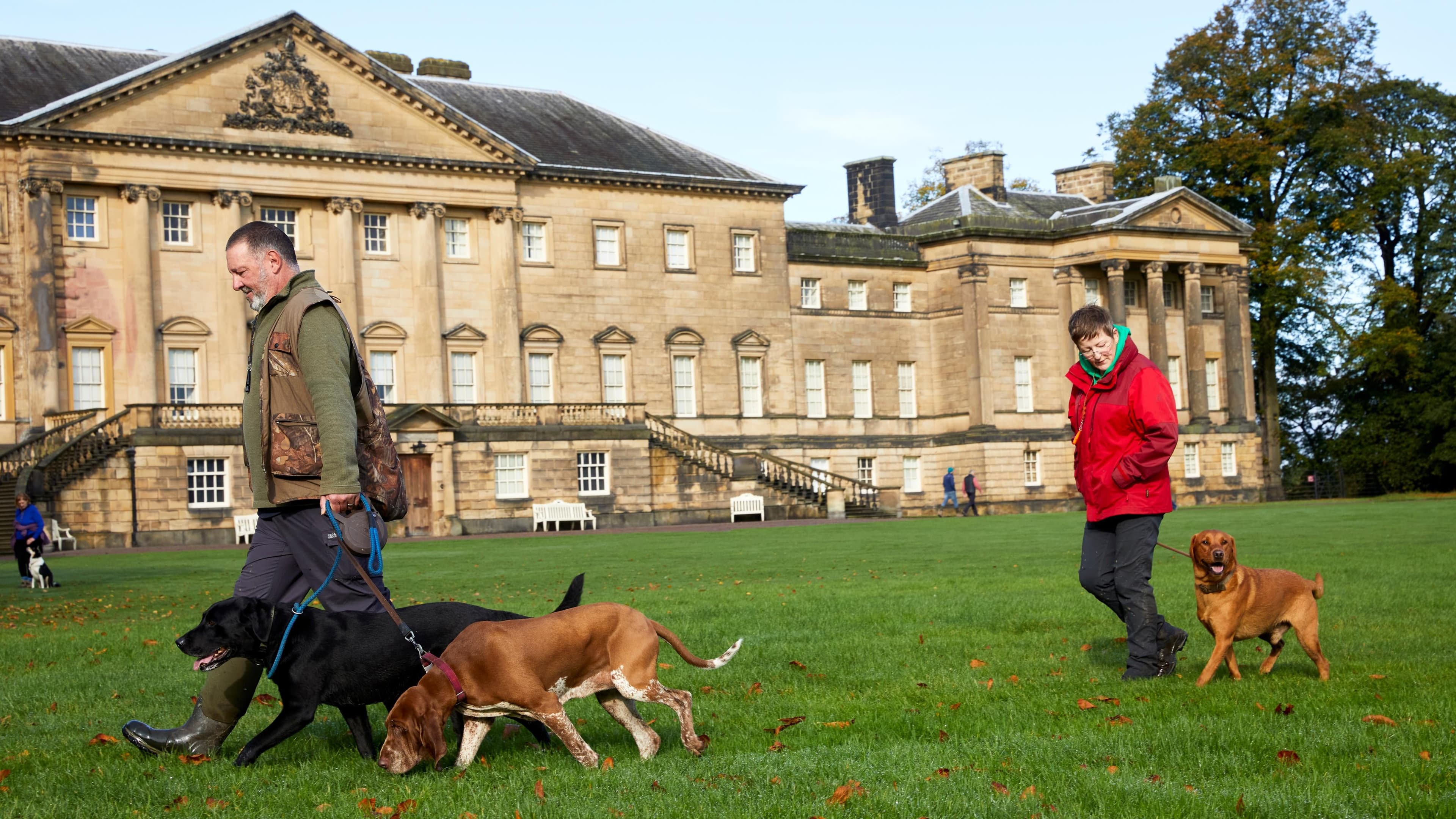National Trust - Nostell - Image 2