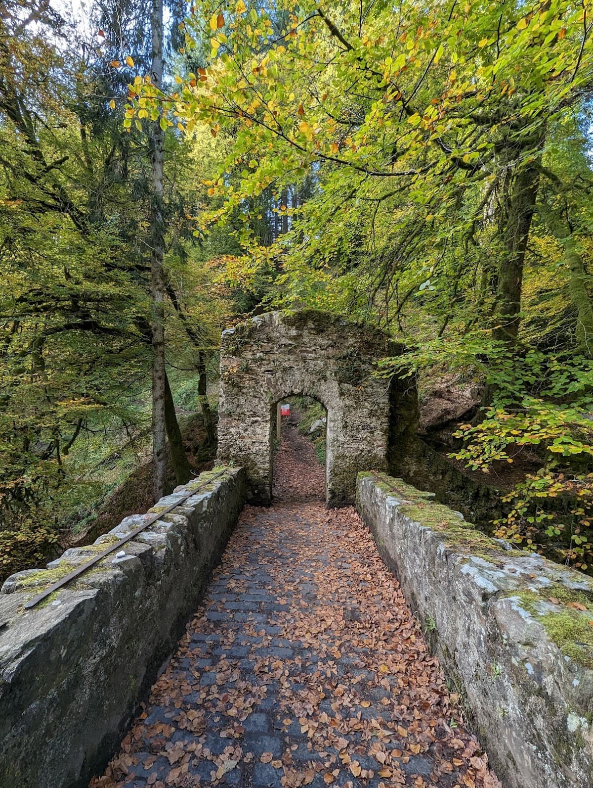 The Hermitage (National Trust for Scotland) - Image 2