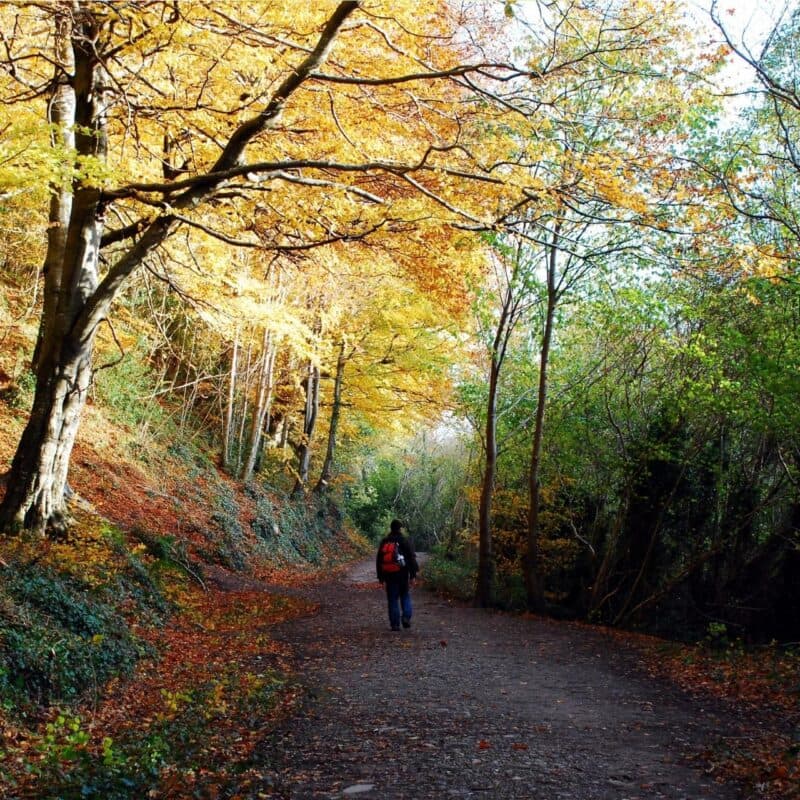 Blacka Moor Nature Reserve - Image 2