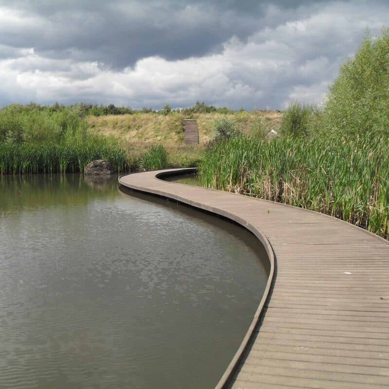 Blacka Moor Nature Reserve - Image 5
