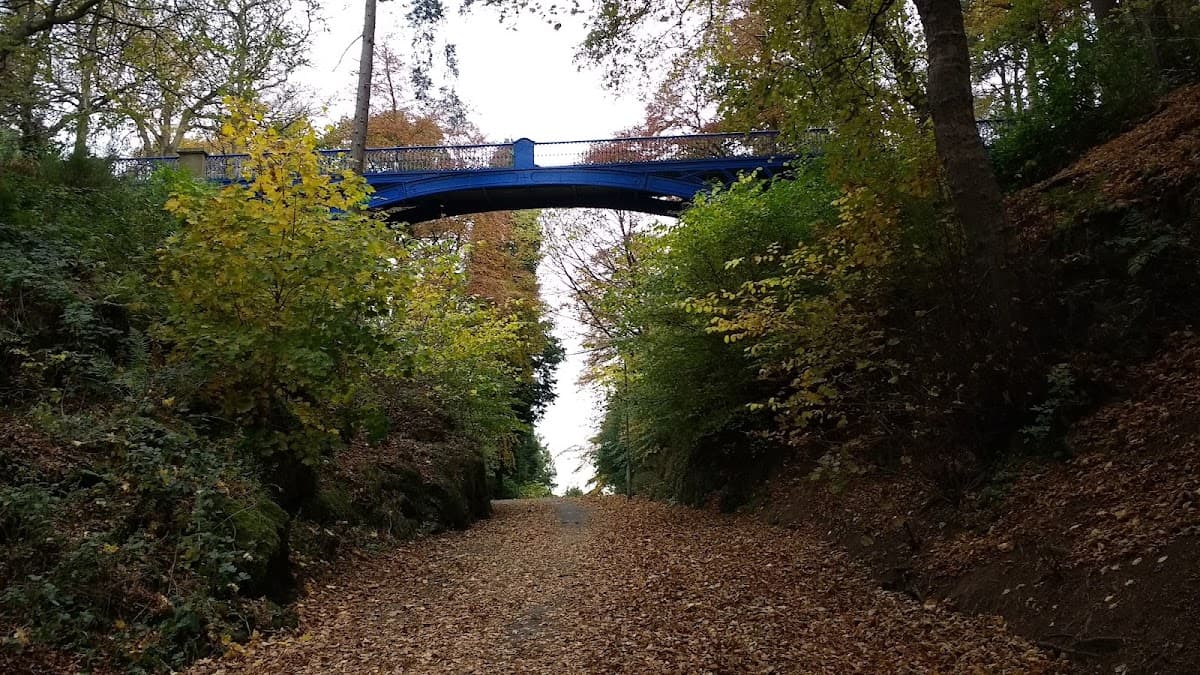 Balgay Park - Image 4