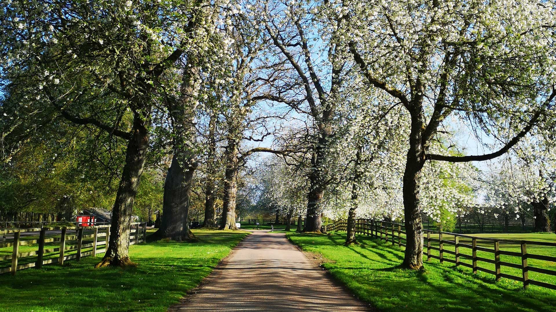 Cawdor Castle and Gardens - Image 4
