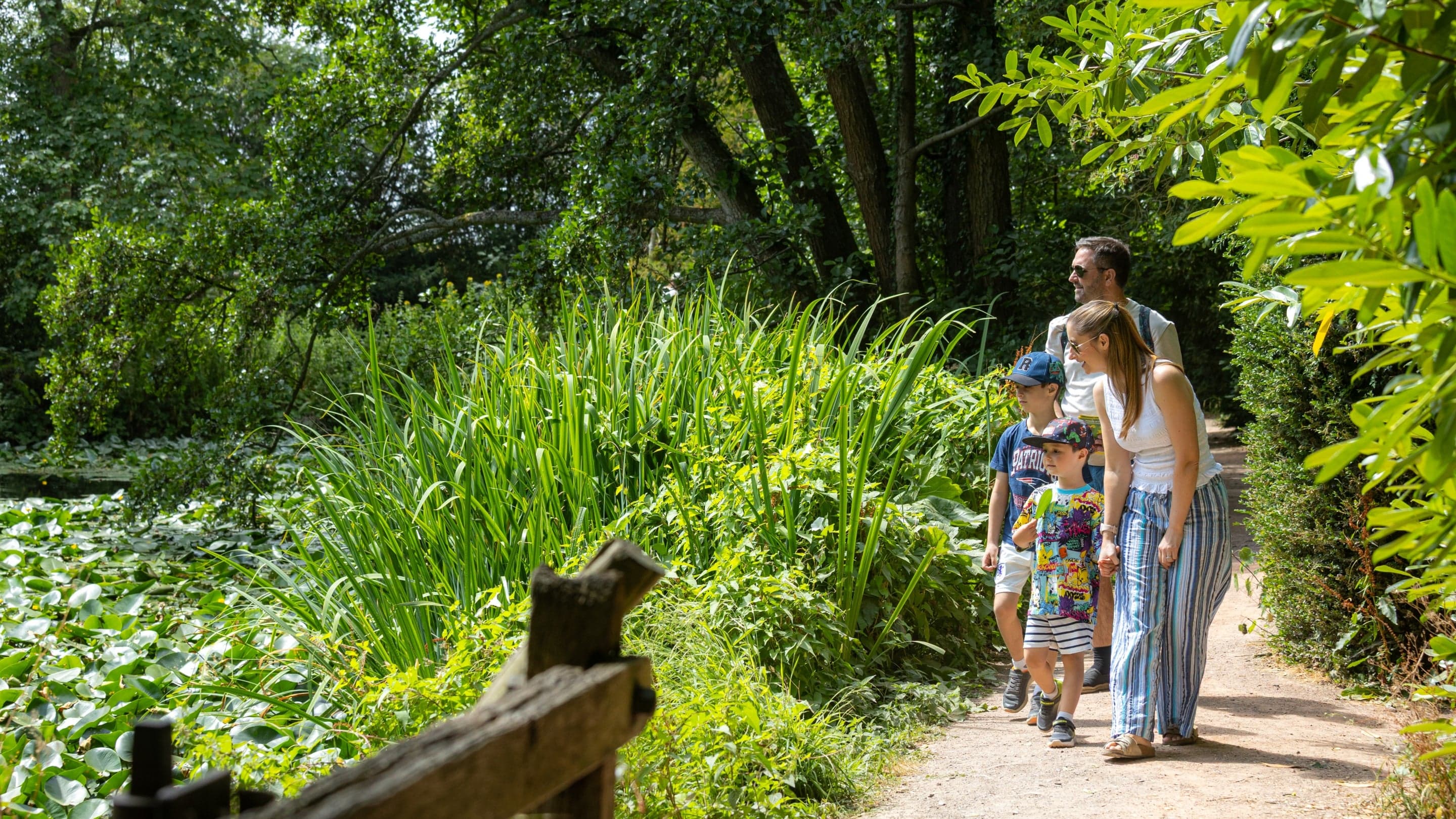 National Trust - Baddesley Clinton - Image 2