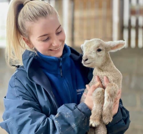 Godstone Farm - Image 5