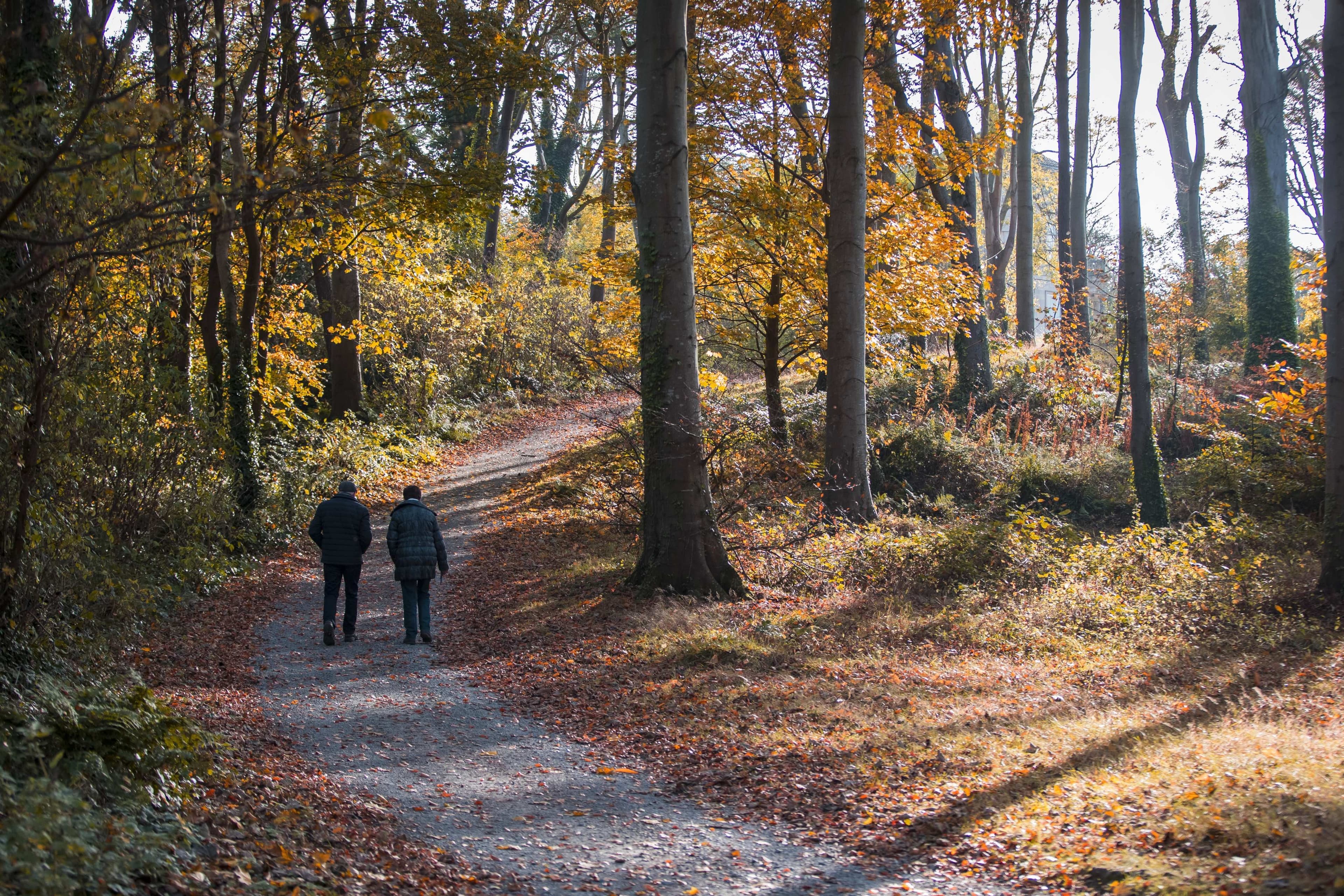 National Trust - Mount Stewart - Image 4