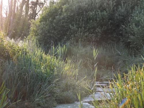 Oare Marshes - Kent Wildlife Trust - Image 3