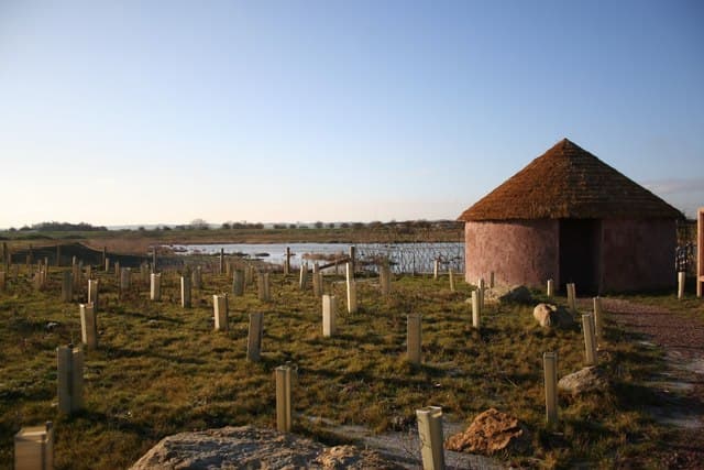 Fiskerton Fen Nature Reserve - Main view