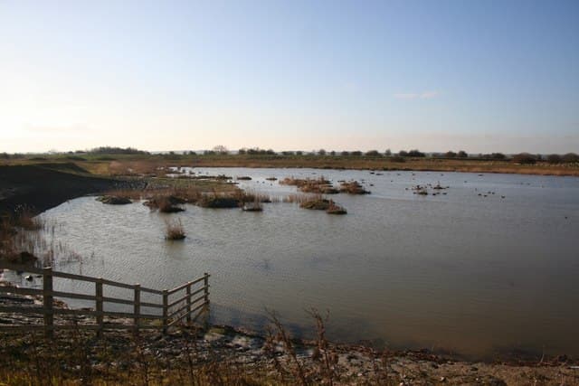Fiskerton Fen Nature Reserve - Image 2