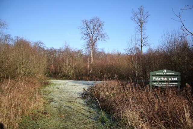 Fiskerton Fen Nature Reserve - Image 3