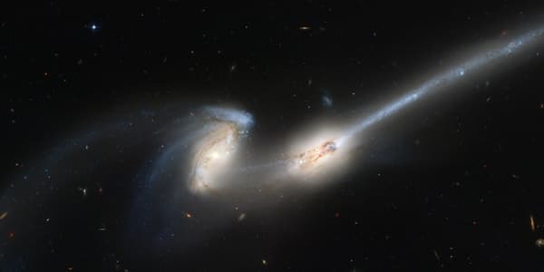 Wynyard Planetarium & Observatory - Image 2