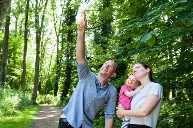 Denham Country Park - Image 2
