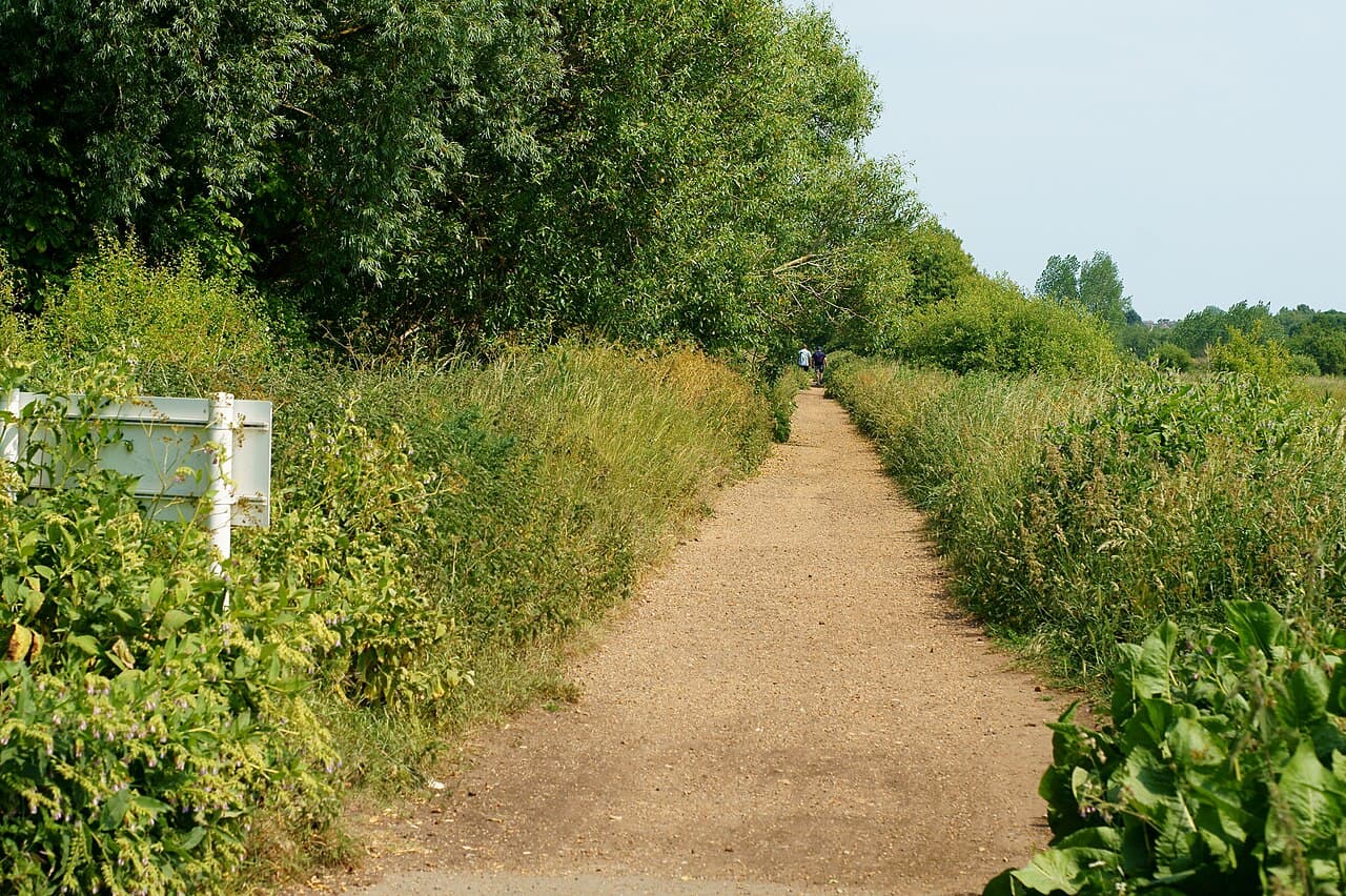 Alverstone Mead - Image 1