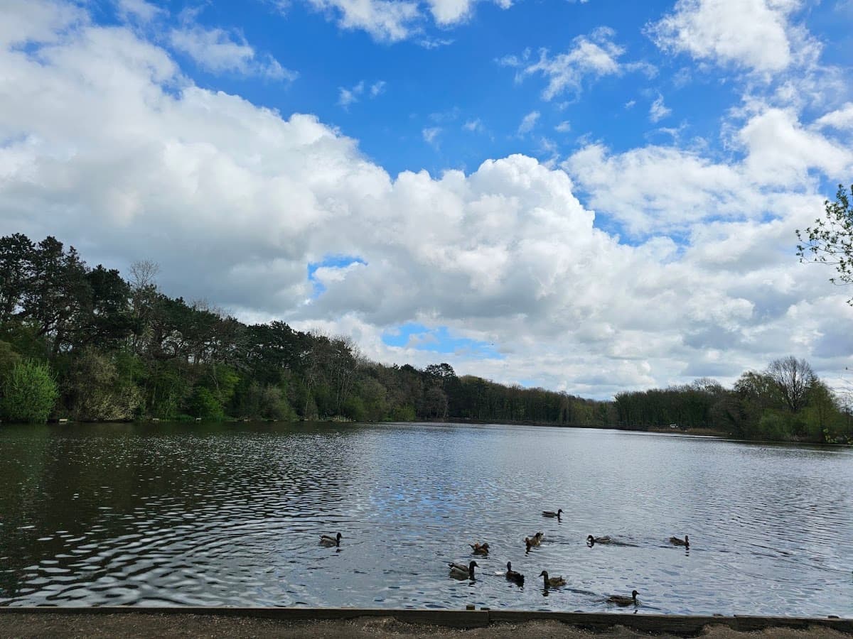 Shipley Country Park - Image 2