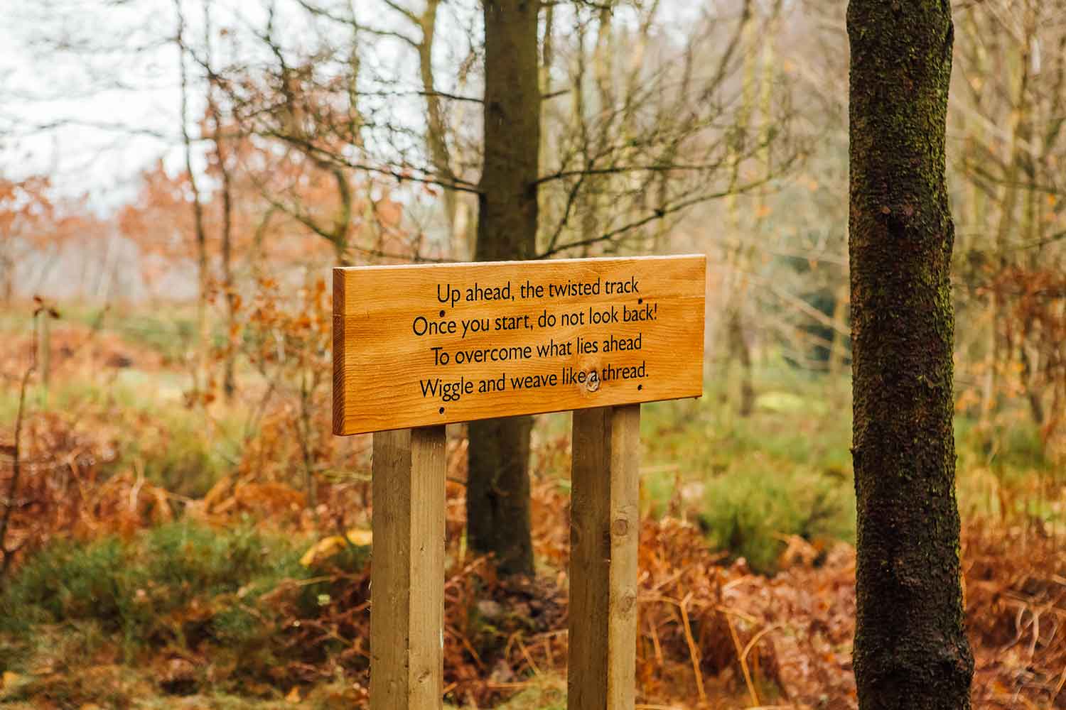 Greno Woods Nature Reserve - Image 2