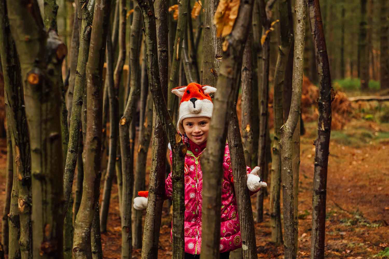 Greno Woods Nature Reserve - Image 4