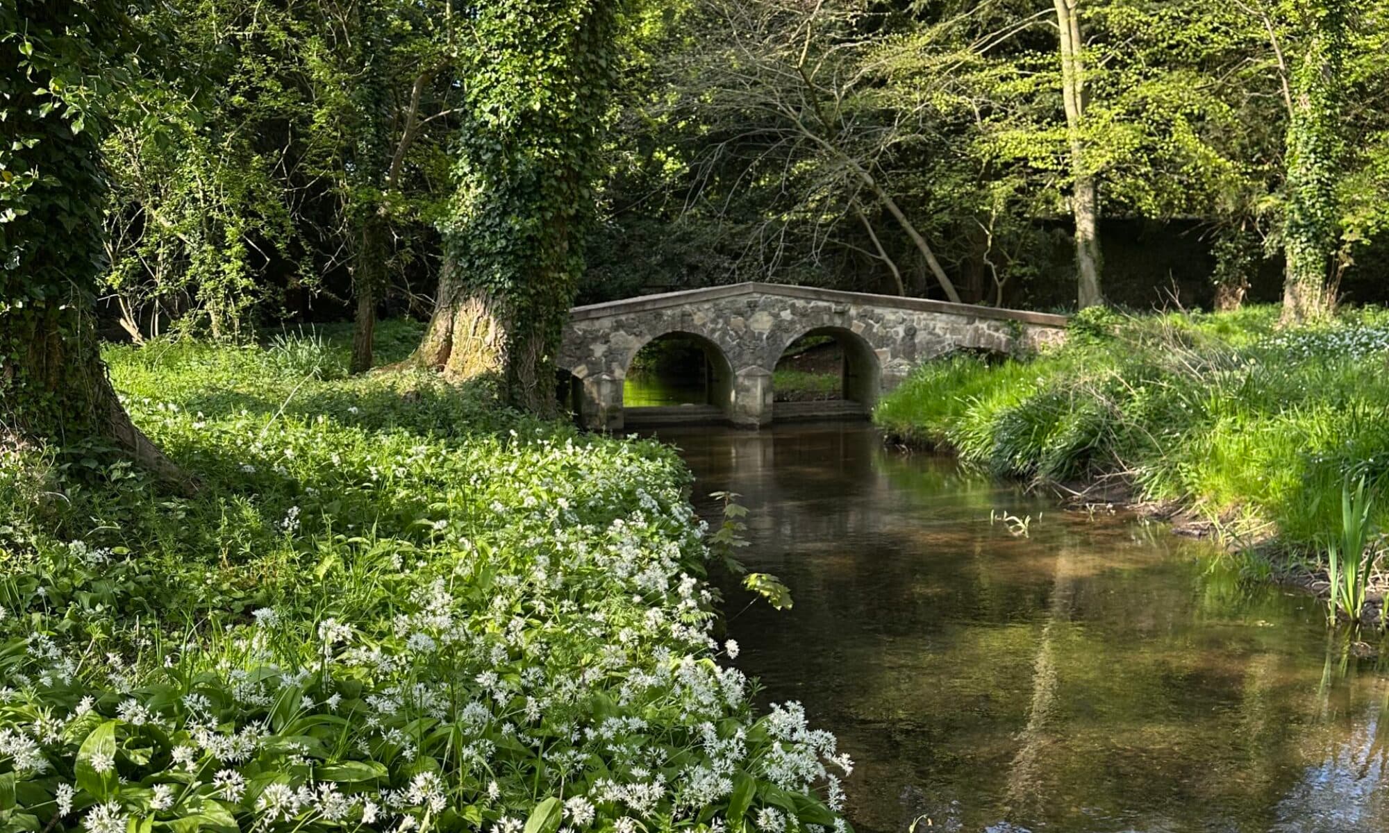 Walsingham Abbey - Image 1