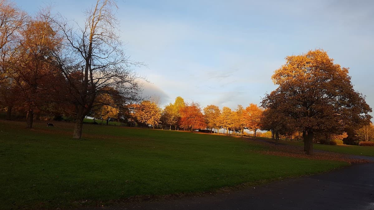 Alexandra Park Play Area - Image 2