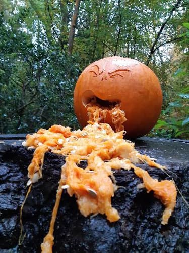 Ecclesall Woods Pumpkin Trail with Waymaster Games