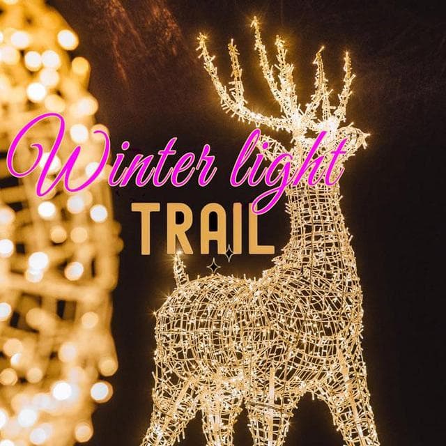 Illuminate Winter Light Trail at Upton Country Park