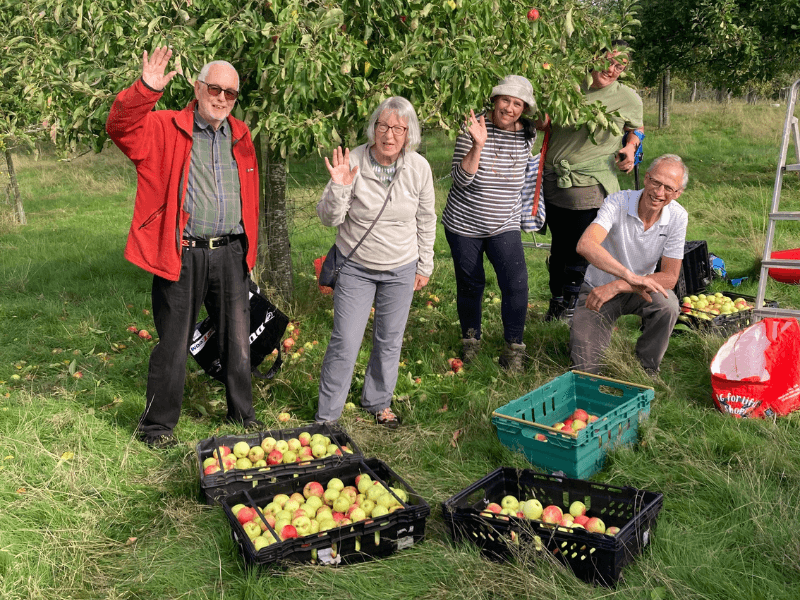 Celebrate World Apple Day at the museum