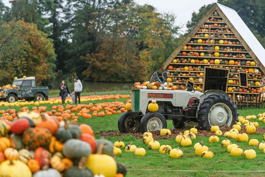 The Pumpkin Field Tractor Adventure