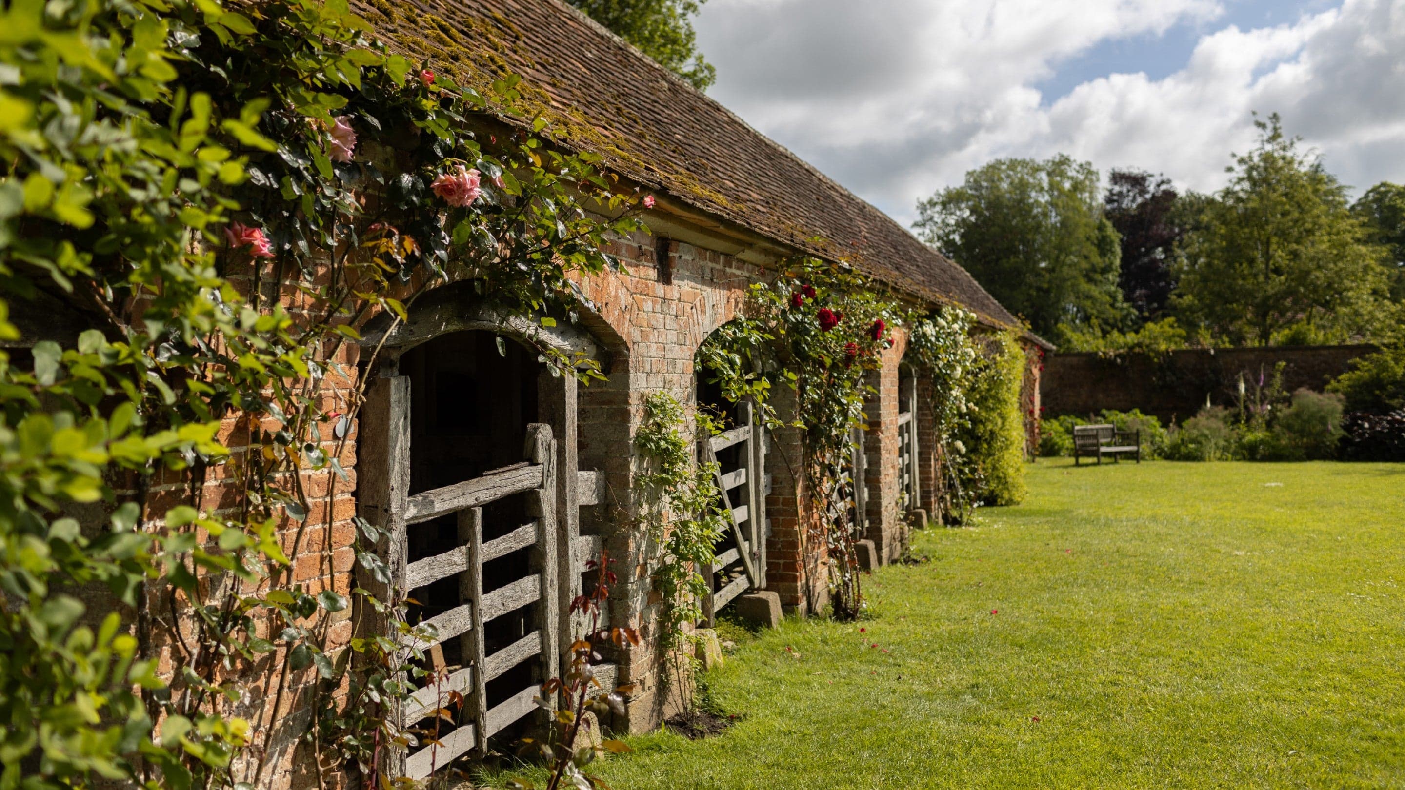 Wild Creatures Hide & Seek Spotter Trail (October Half Term)