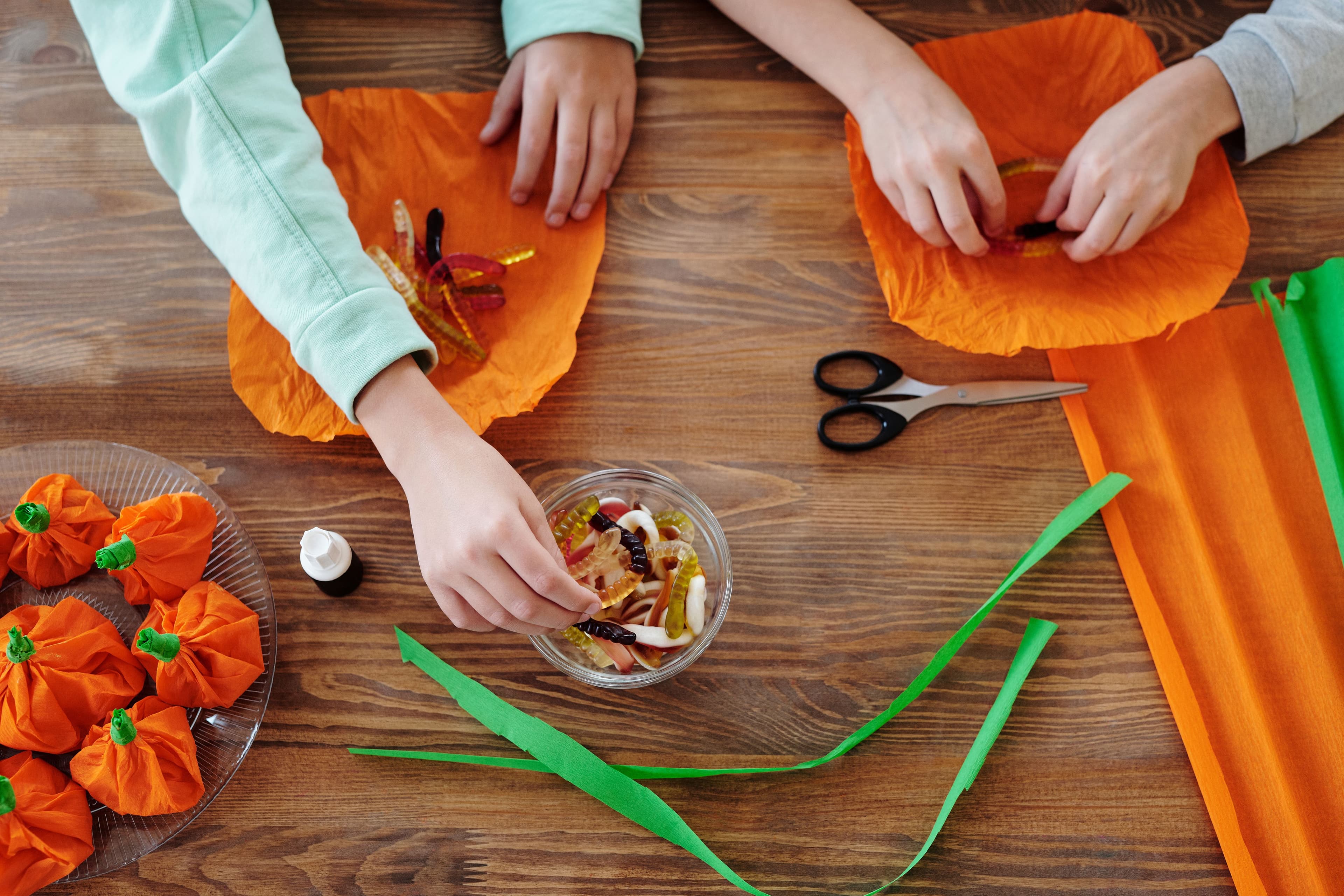 Creepy Crawly Crafts (4+)