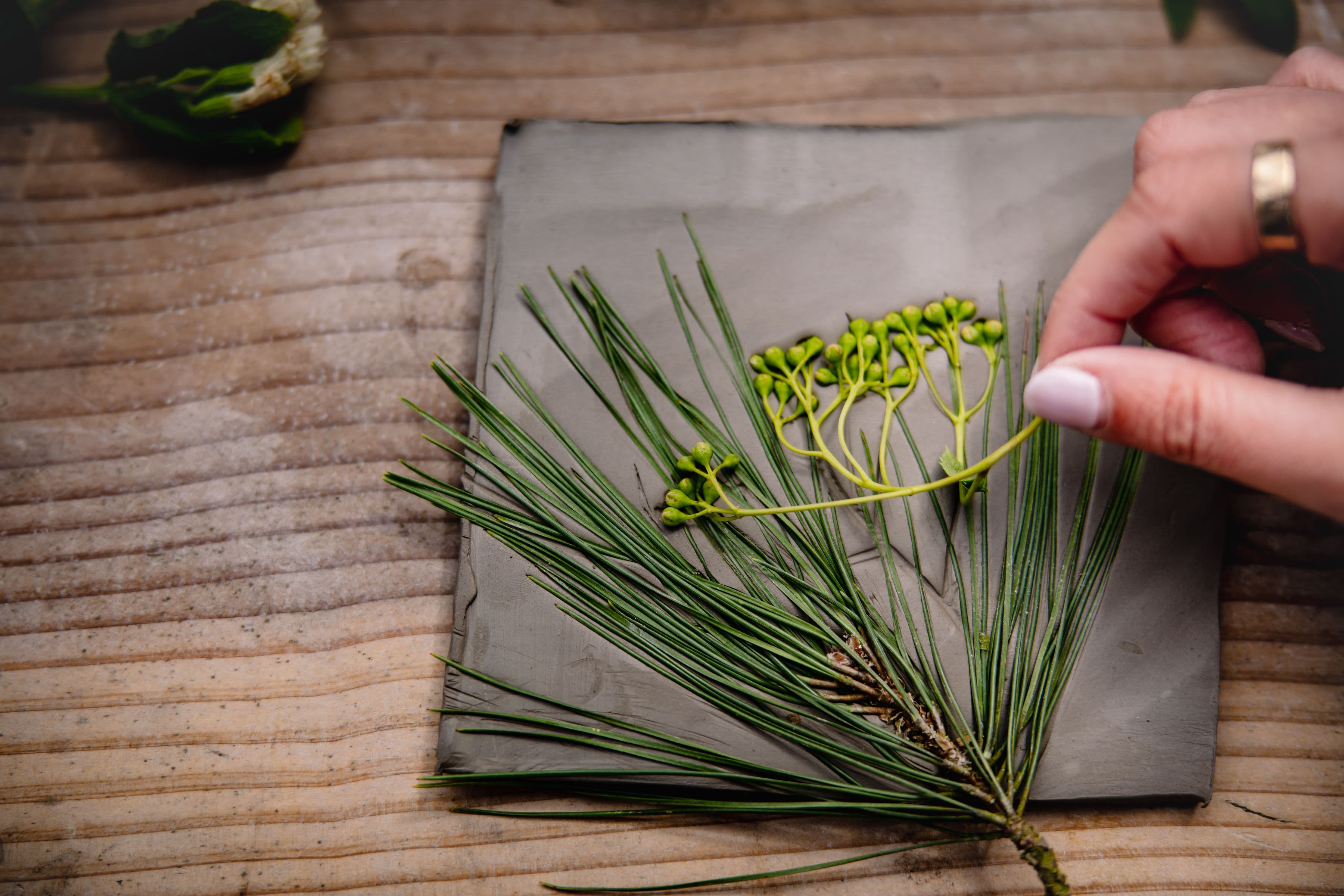 Family Pressed Flower Tile Workshop at Frankie's of Grundisburgh