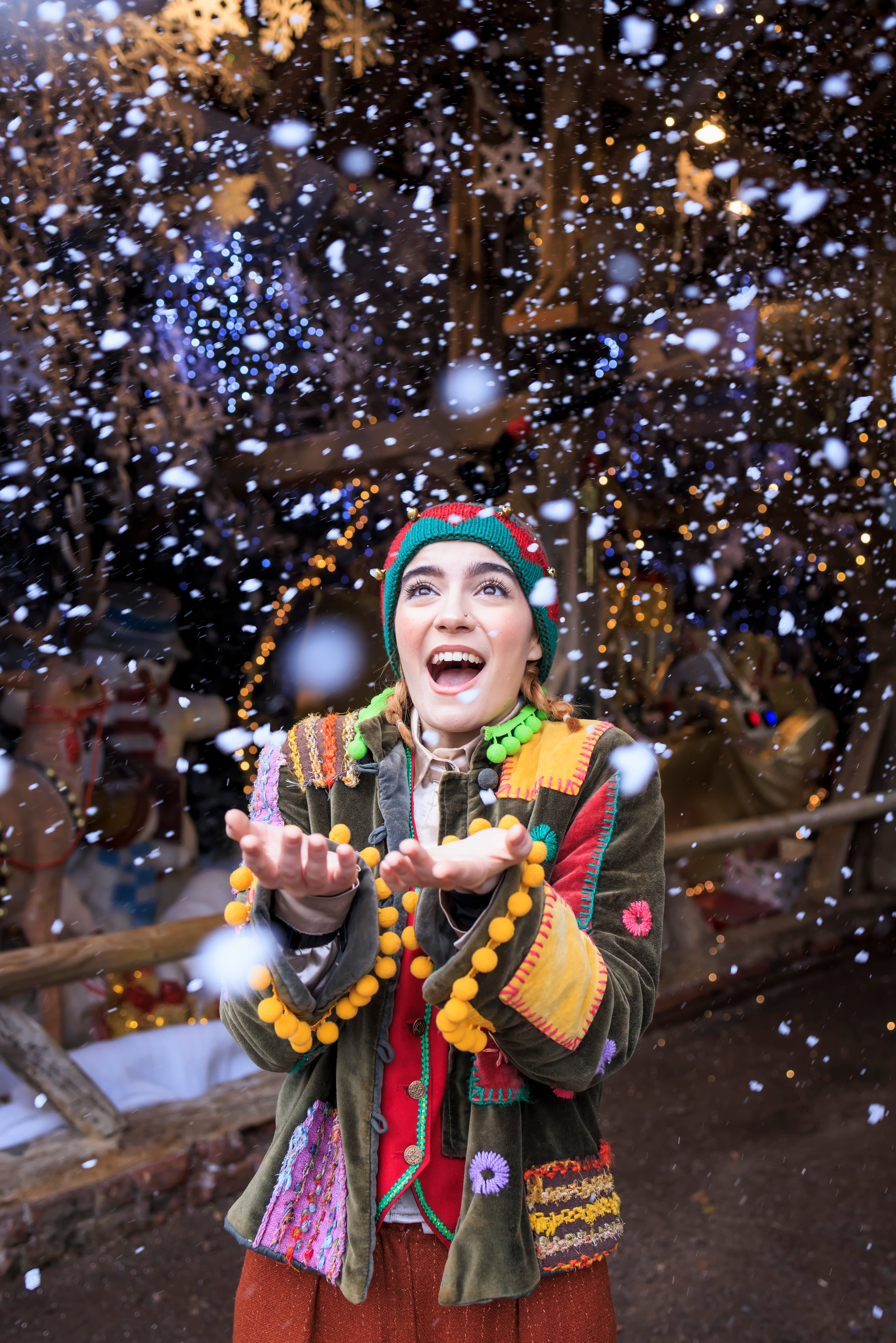 A Magical Christmas at Bocketts Farm
