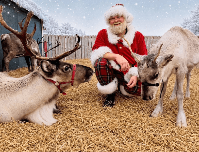Meet Santa's Reindeer at Threaplands