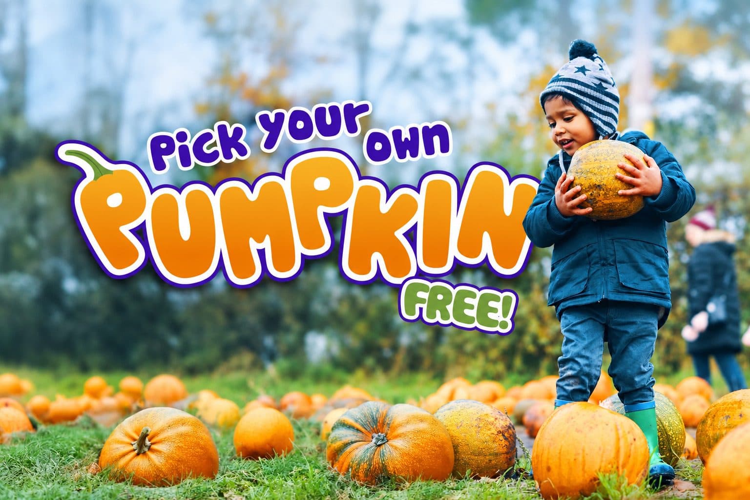Pick Your Own Pumpkin at Twinlakes