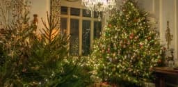 Christmas at Doddington: Classic Christmas Cinema