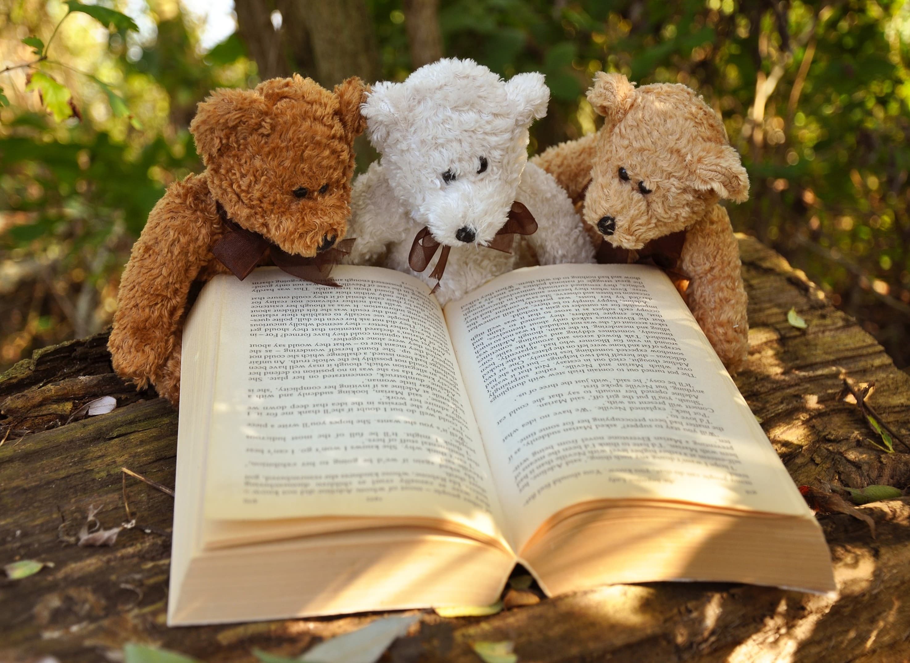 Storytime and Crafty Corner at Wirksworth Library