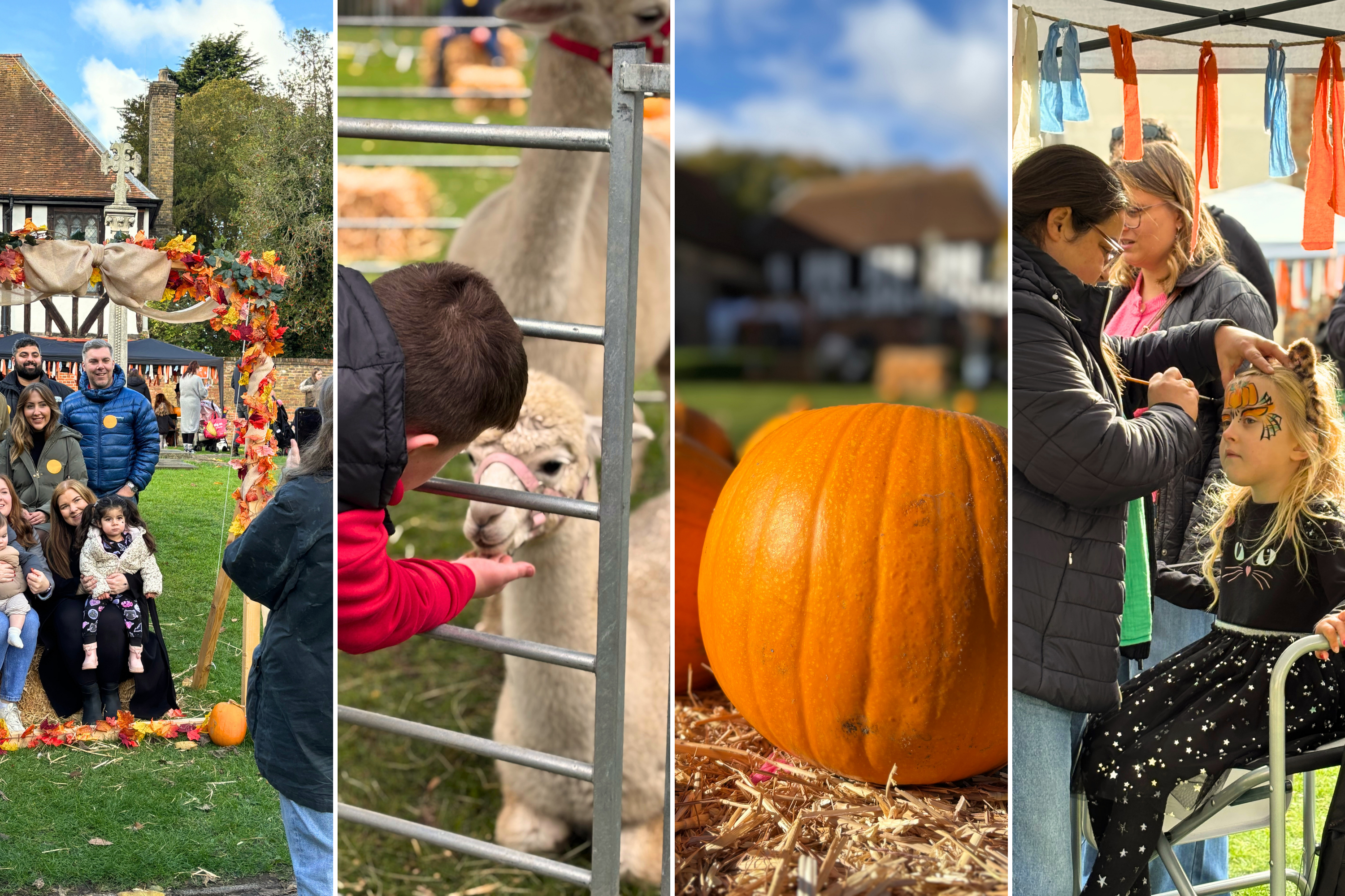 Prittlewell Pumpkin Patch & Petting Farm