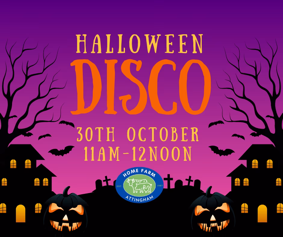 Halloween Disco with Charlotte from Diddi Dance (Friday)