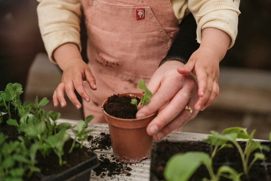 Sow and grow at RHS Wisley