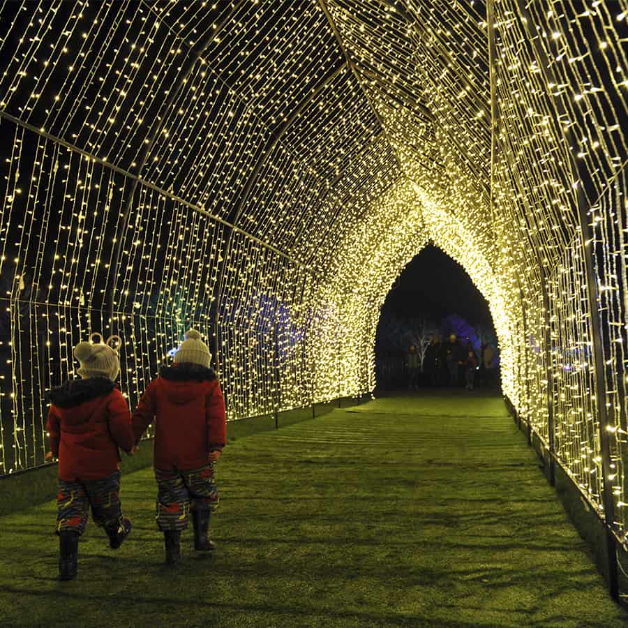 Lights of Lowther