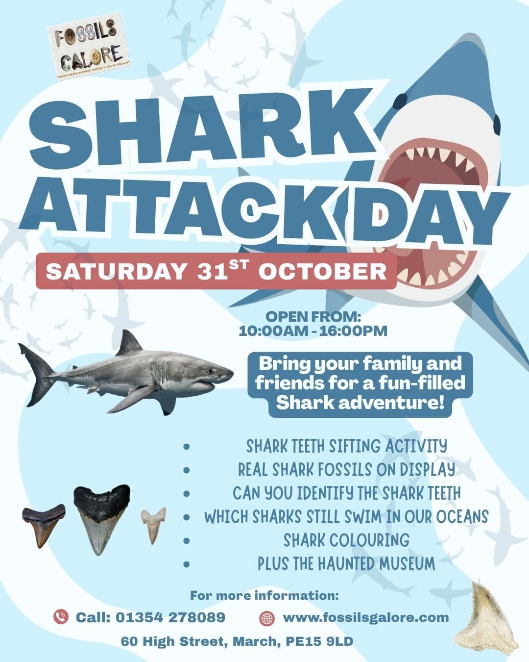 Shark Attack Day at Fossils Galore