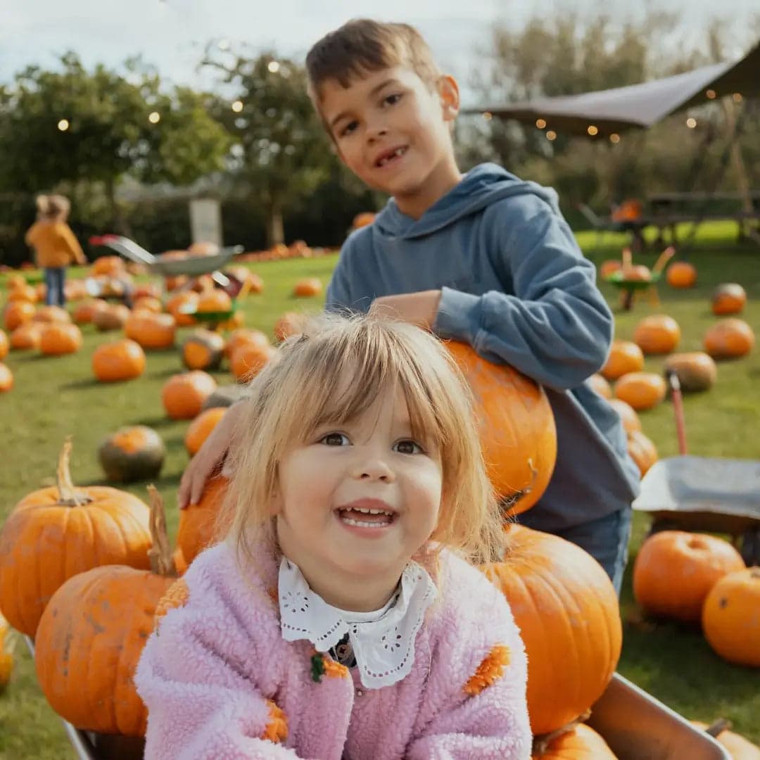 Pennywell Pumpkin Festival