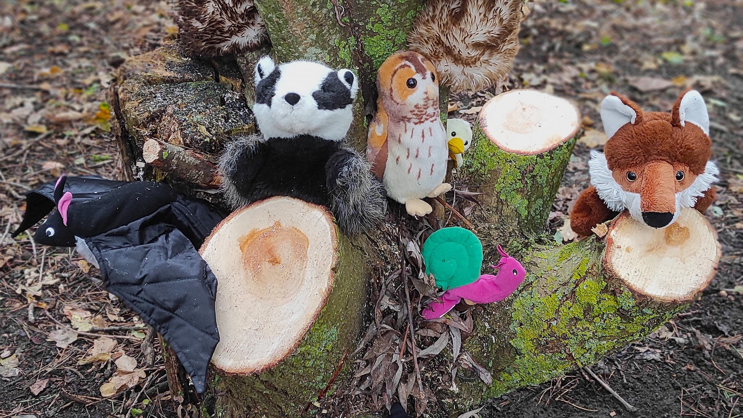 Hanningfield Nature Tots & Babies: Autumn Special