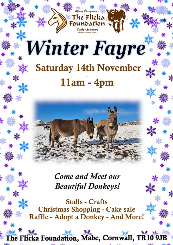 Winter Fayre at The Flicka Foundation