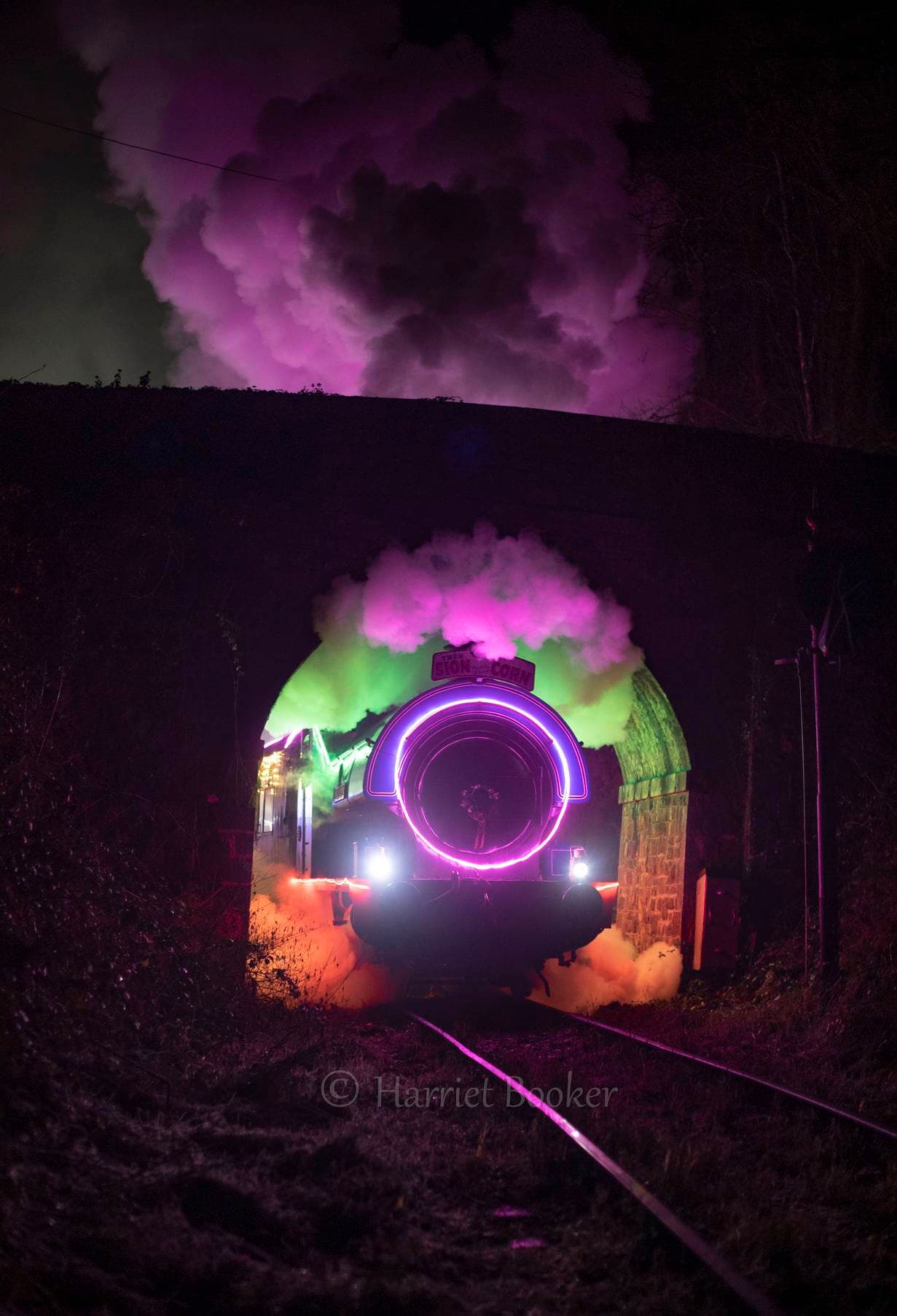 Festive Lights of the Valley Train