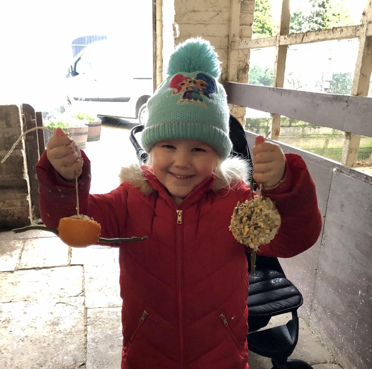Zoo activity - Orange Fat Balls